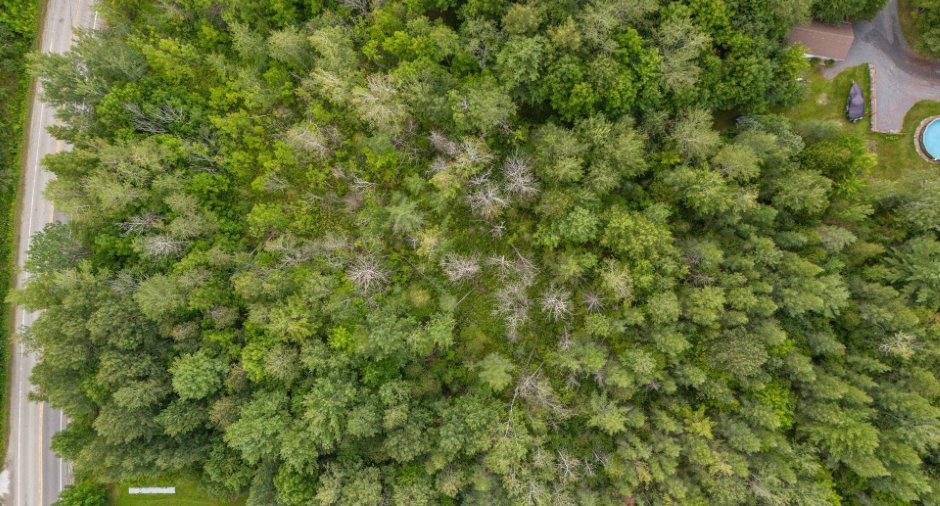 Terre/Terrain