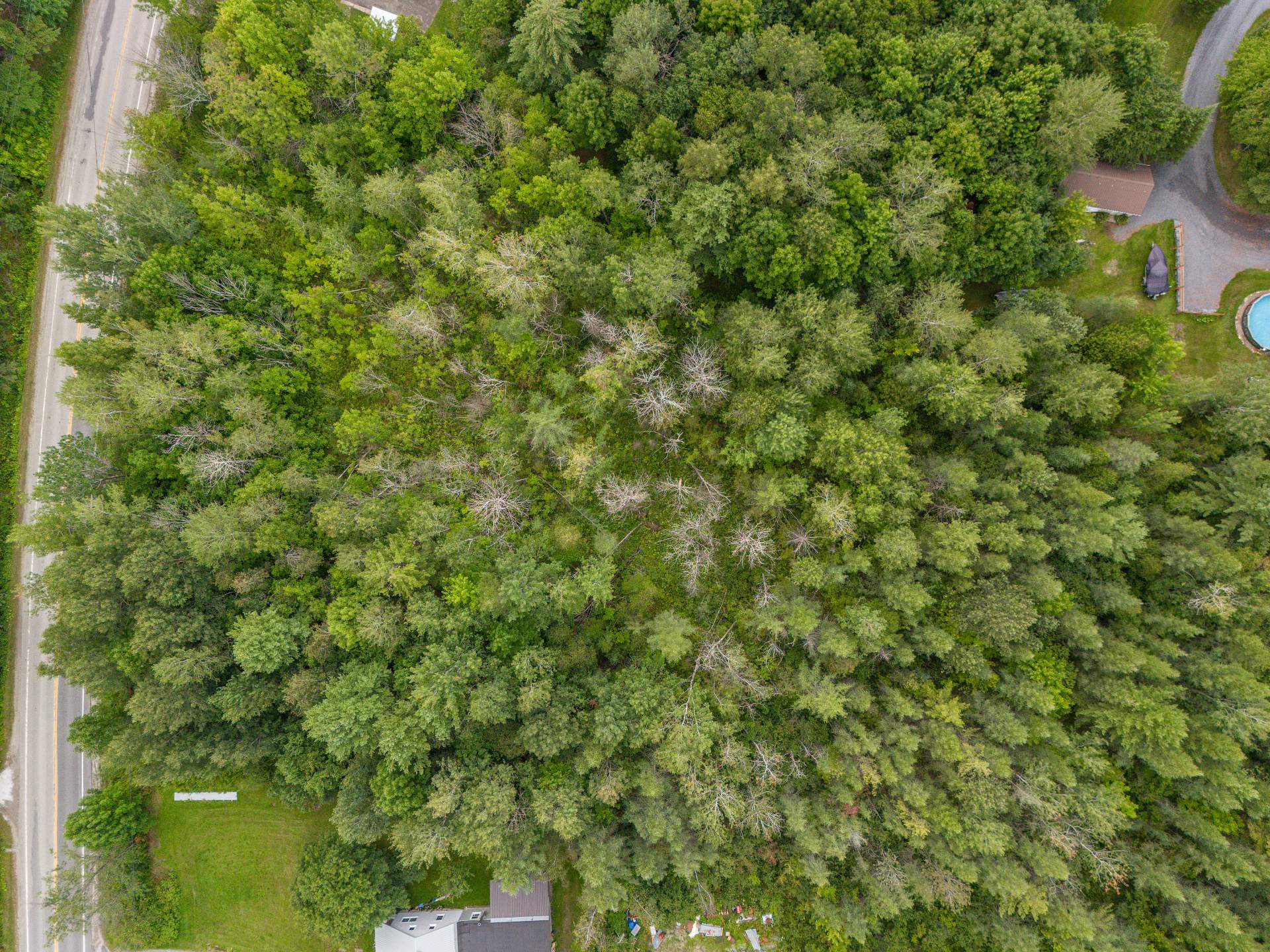Land/Lot