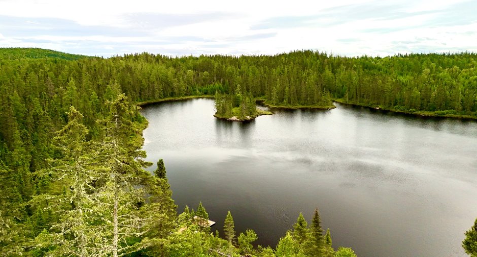 Vacant lot for sale in SaintFulgence, Route de Tadoussac