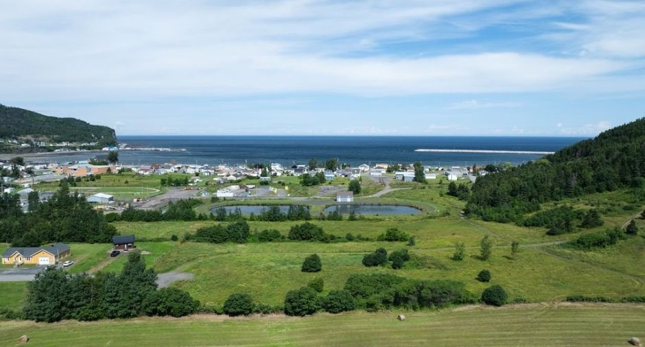 Vue d'ensemble