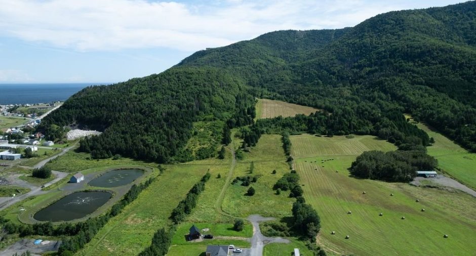 Terre/Terrain
