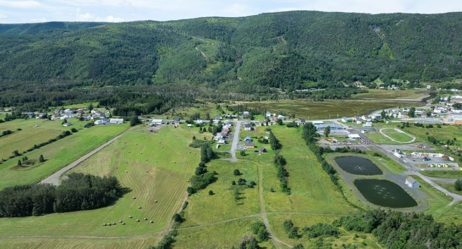 Terre/Terrain