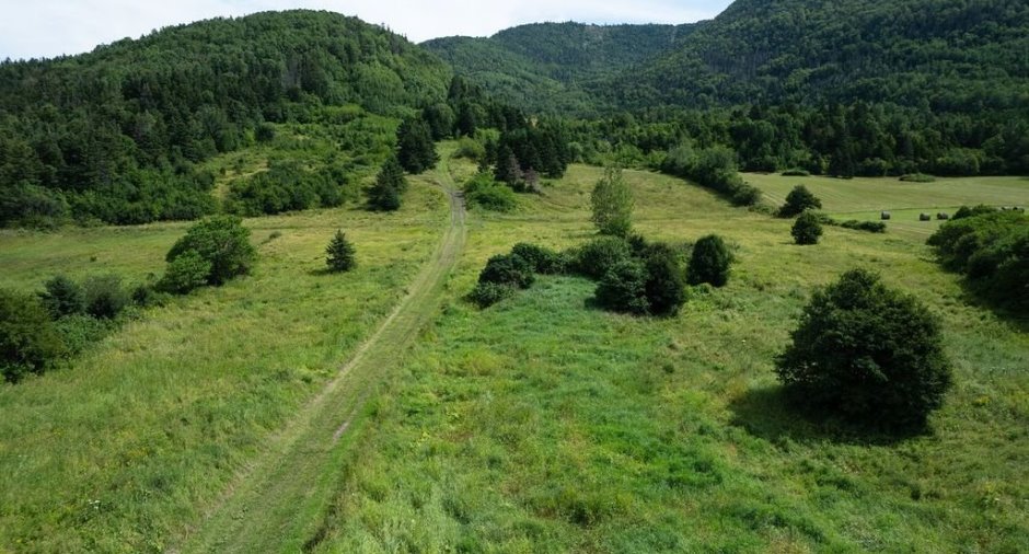 Terre/Terrain