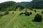 Terre/Terrain