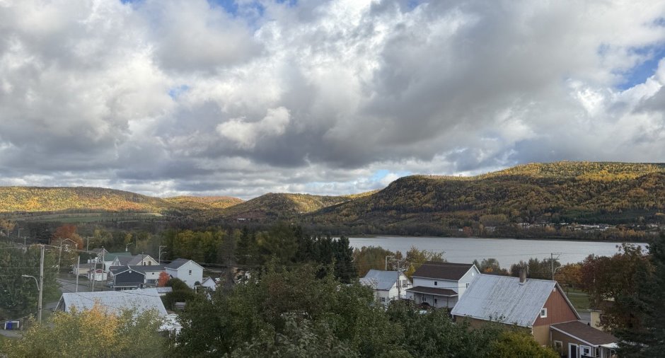 Vue sur l'eau