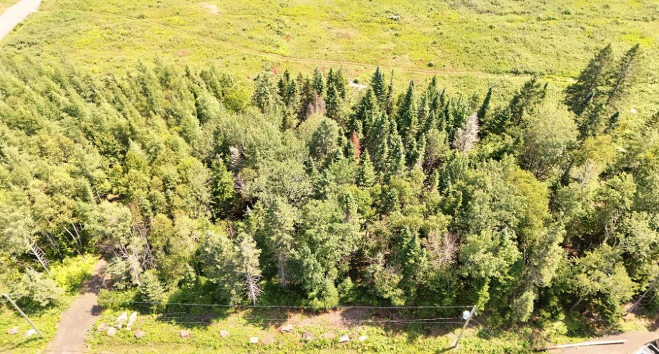 Vue d'ensemble