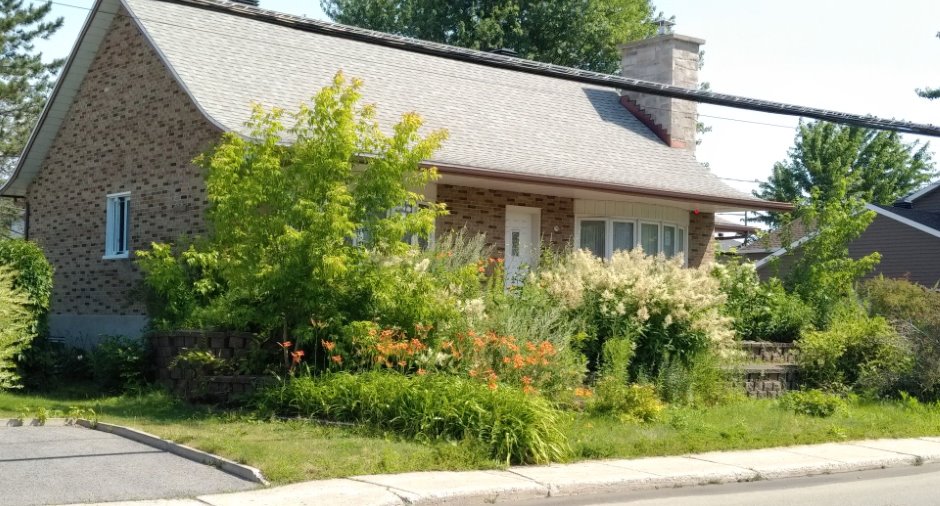 Frontage