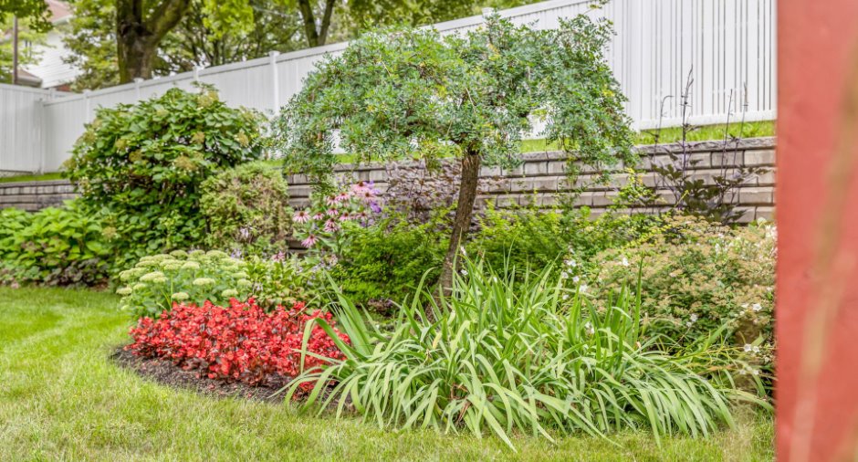 Jardin