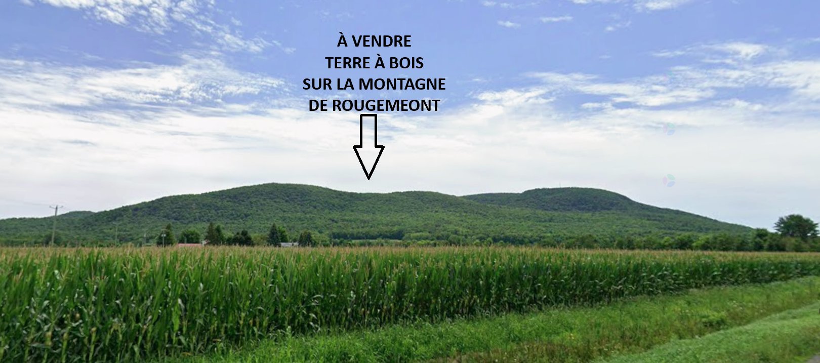 Rg du Cordon — photo 1