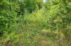 Terre/Terrain