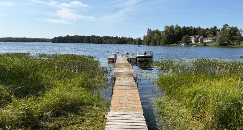 Bord de l'eau