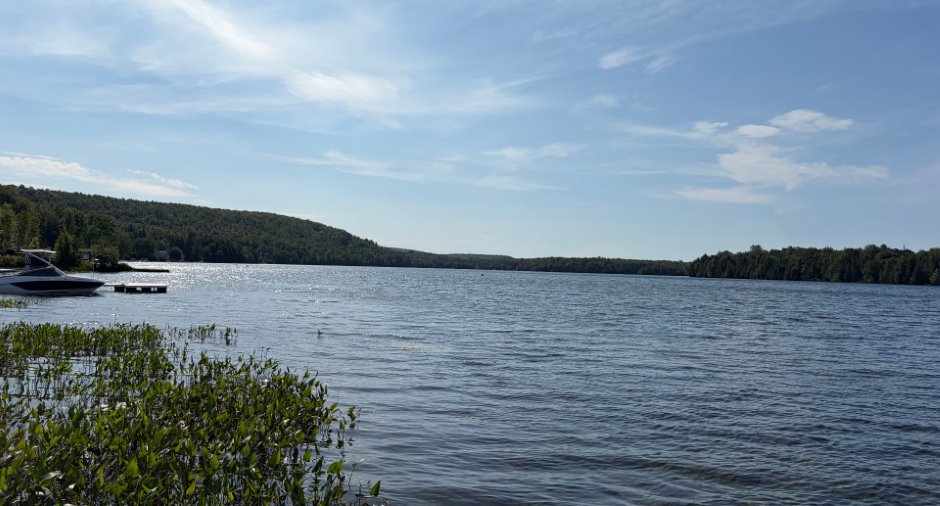 Vue sur l'eau