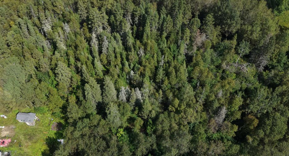 Terre/Terrain