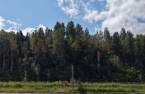 Terre/Terrain