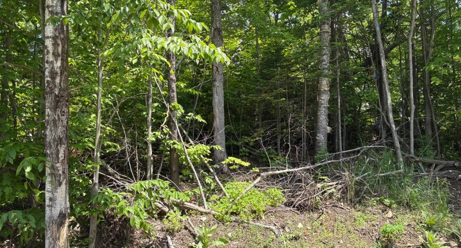 Terre/Terrain