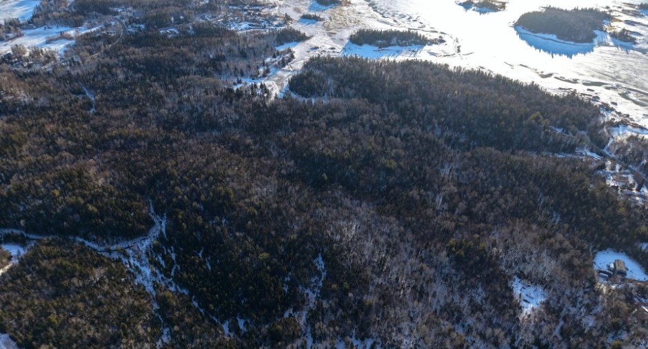 Terre/Terrain