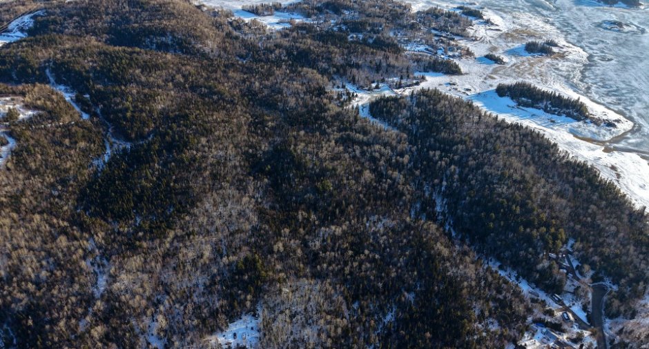 Terre/Terrain