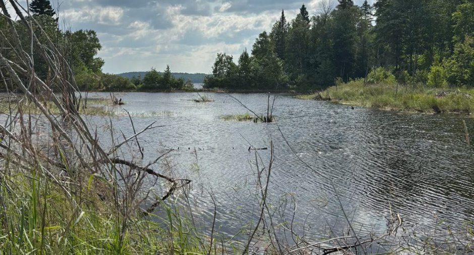 Vue