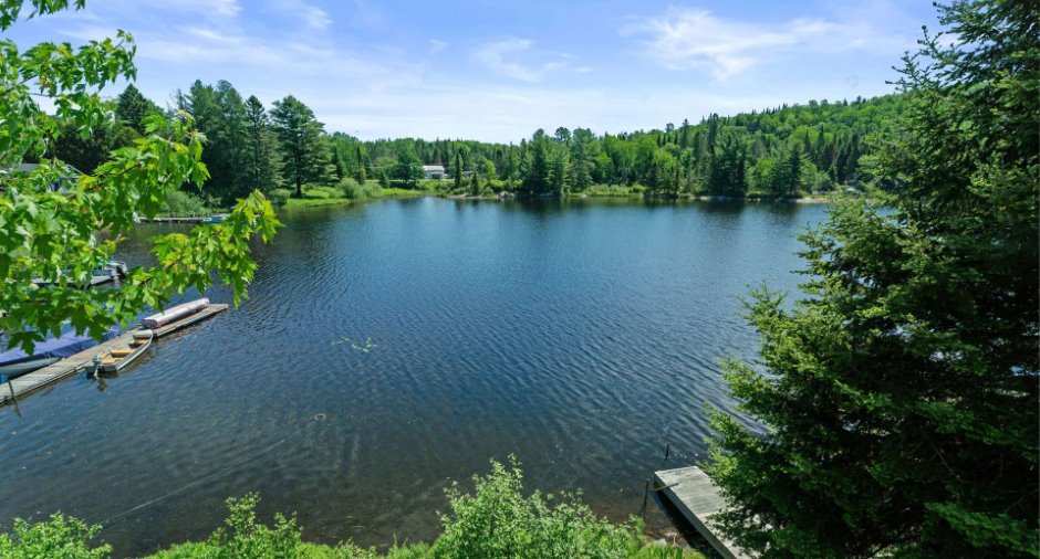 Vue sur l'eau