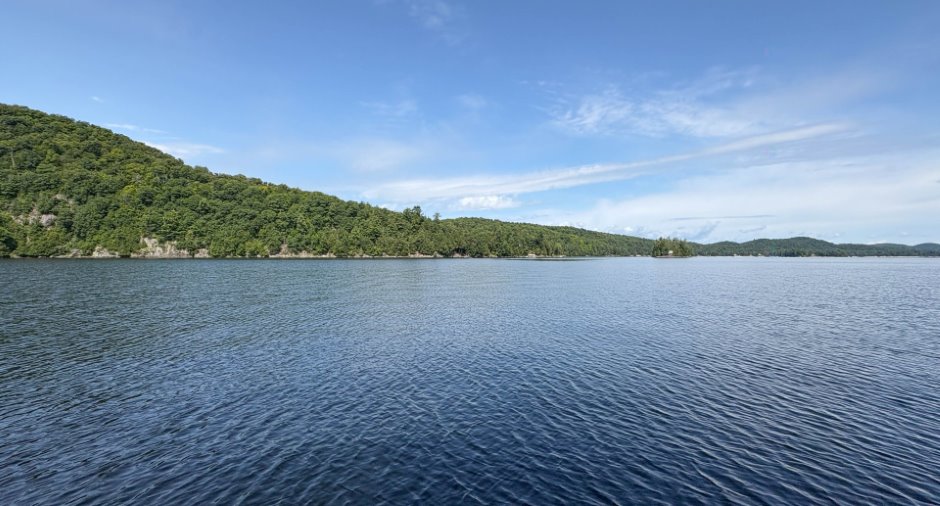 Bord de l'eau