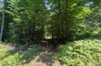 Terre/Terrain