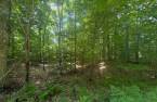 Terre/Terrain