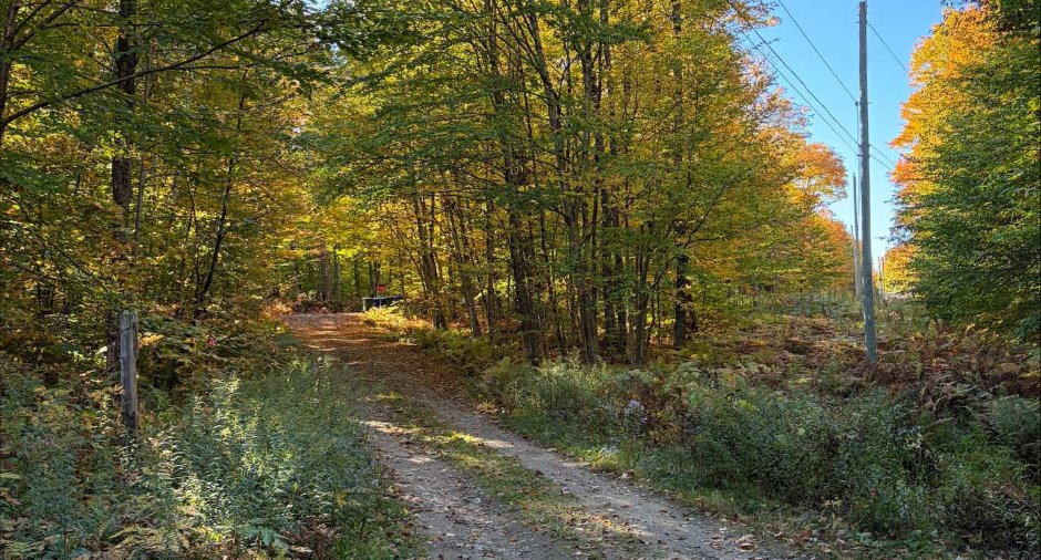 Land/Lot