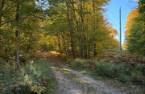 Land/Lot