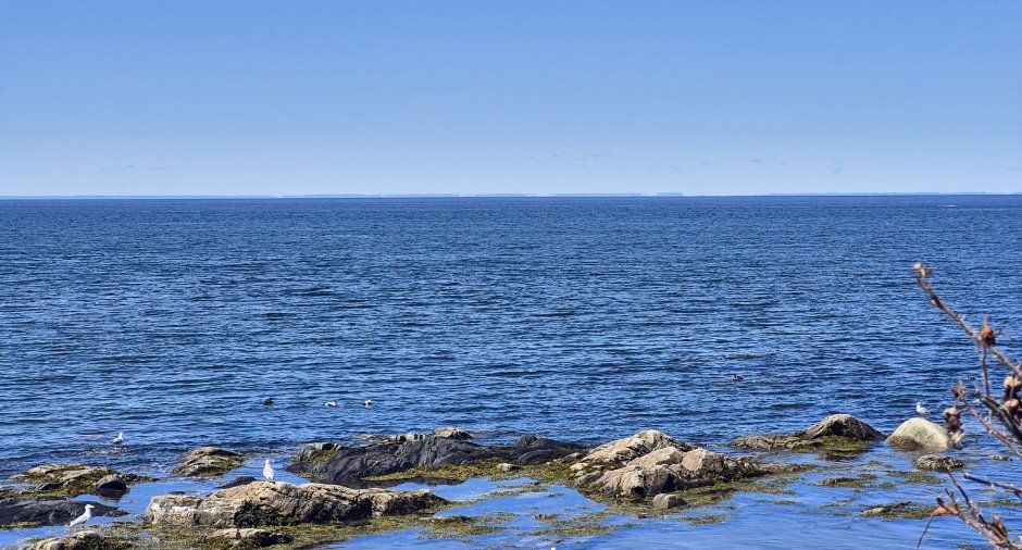 Vue sur l'eau
