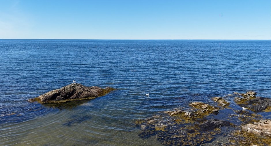 Vue sur l'eau