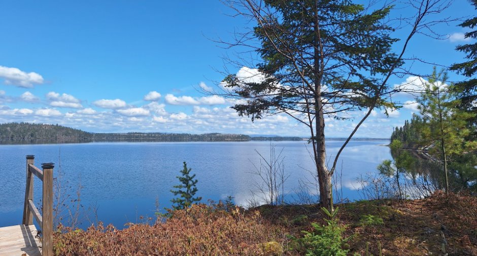 Vue sur l'eau