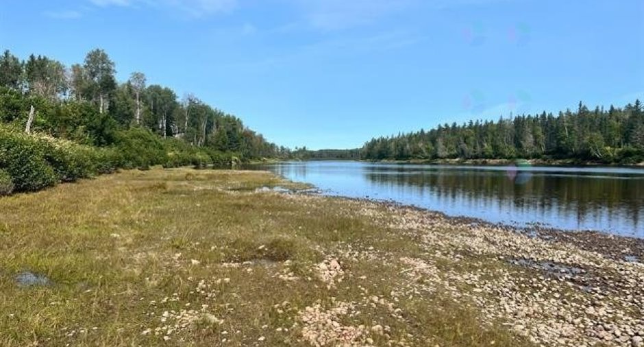 Bord de l'eau