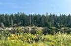 Terre/Terrain