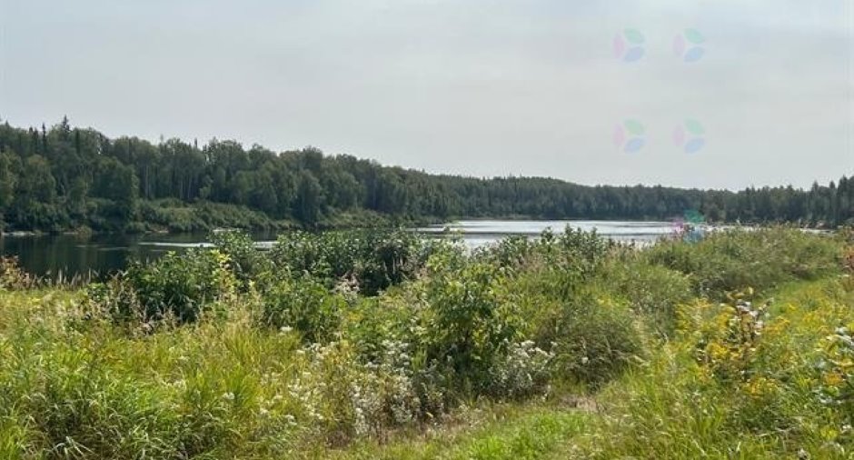 Terre/Terrain