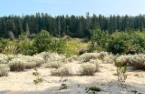 Terre/Terrain