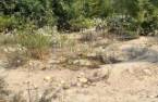 Terre/Terrain