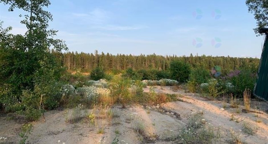 Terre/Terrain
