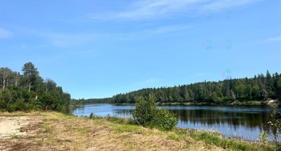 Bord de l'eau