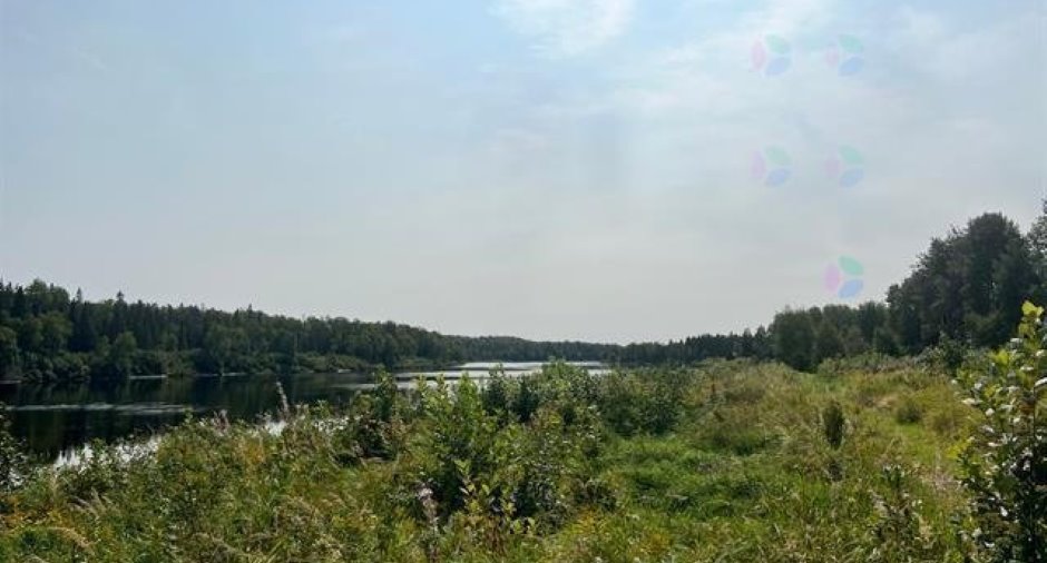 Bord de l'eau