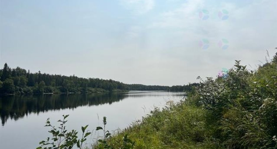 Bord de l'eau
