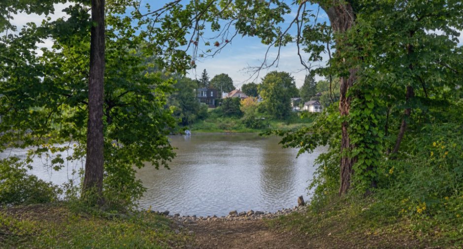 Bord de l'eau