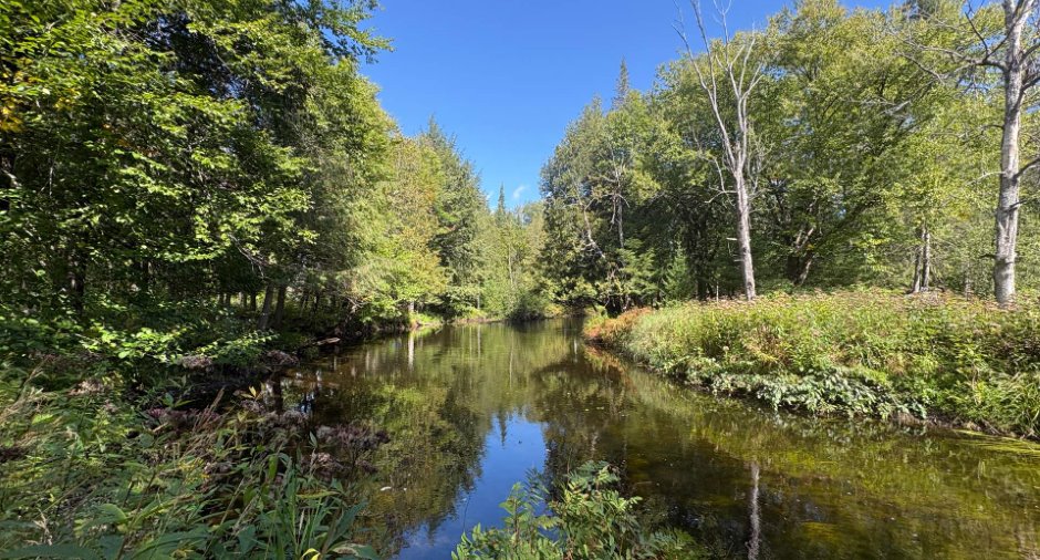 Bord de l'eau