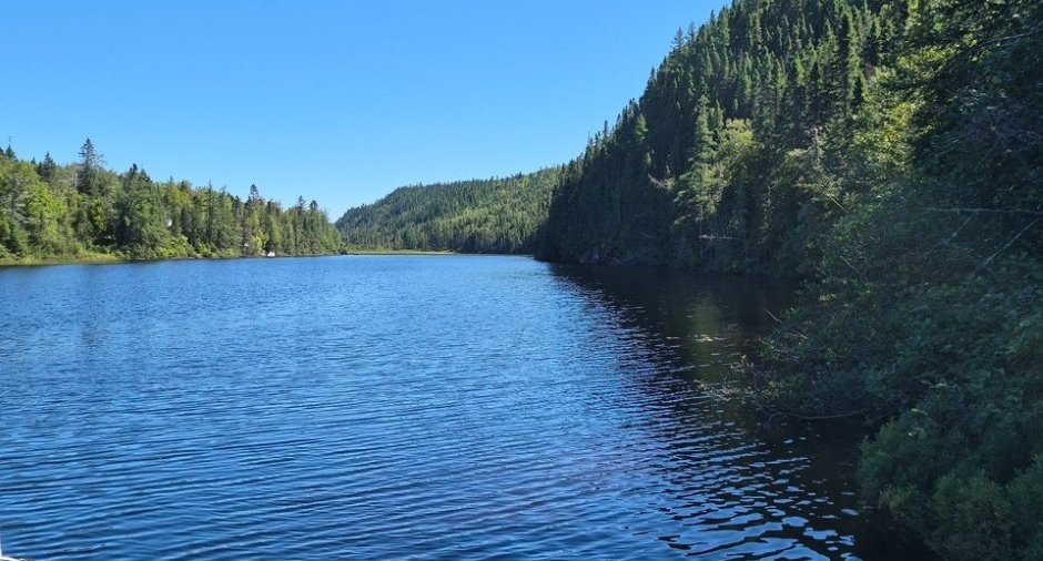 Vue sur l'eau