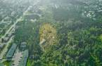 Terre/Terrain