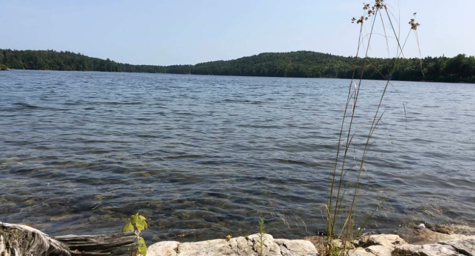Water view