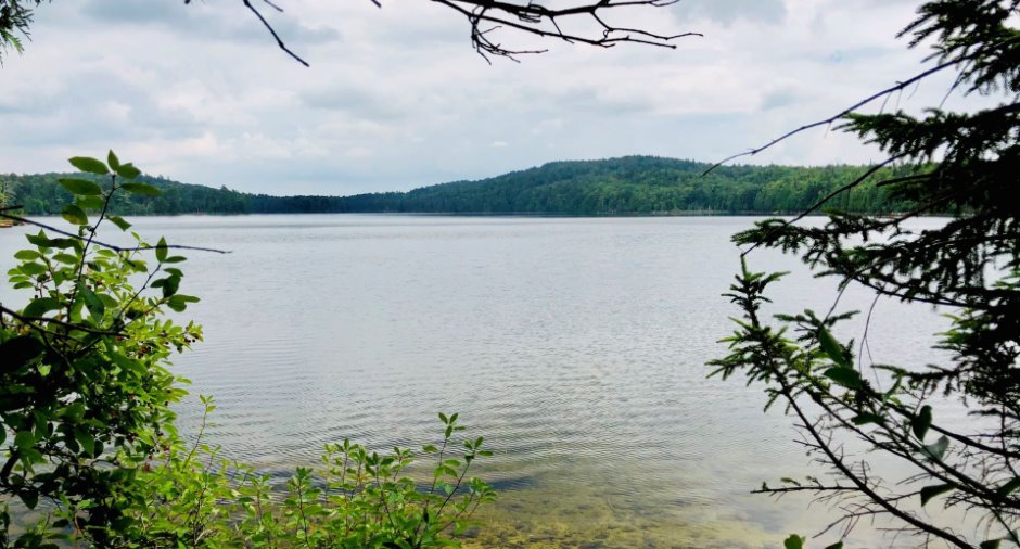 Water view