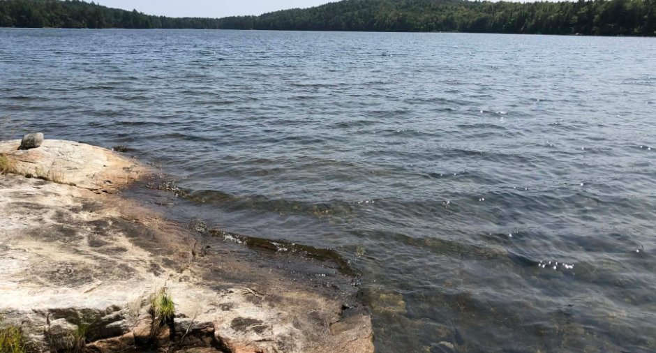Water view