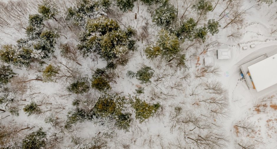 Aerial photo