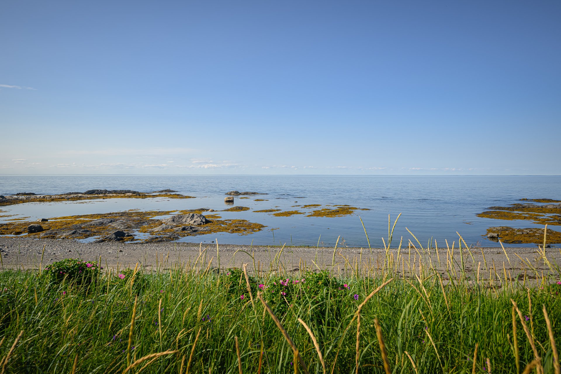 Vue sur l'eau