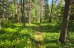 Terre/Terrain
